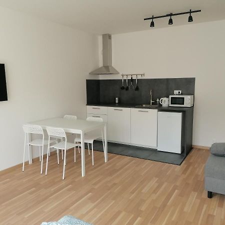 Brand New Studio Apartment #51 With Free Secure Parking In The Center プラハ エクステリア 写真
