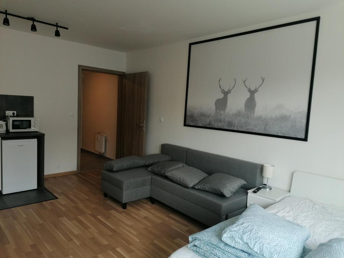 Brand New Studio Apartment #51 With Free Secure Parking In The Center プラハ エクステリア 写真