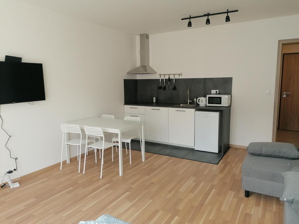 Brand New Studio Apartment #51 With Free Secure Parking In The Center プラハ エクステリア 写真